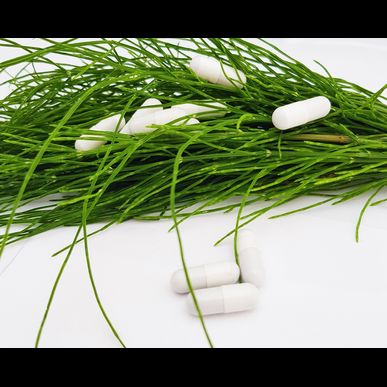 東京の高橋医院では糖尿病でお悩みの患者様へ適切な食事療法を行います