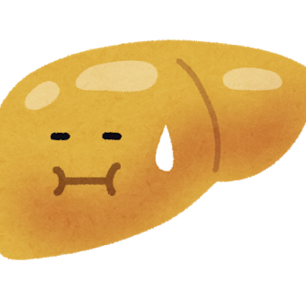 東京で脂肪肝について肝臓専門医に相談できる高橋医院