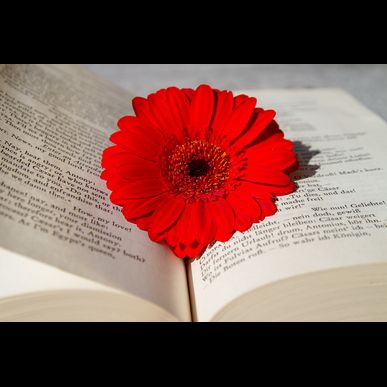 東京で女性の生活習慣病・肥満の相談ができる高橋医院